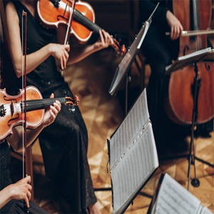 Association Classique à tout prix, un passionné de musique à Vitry-sur-Seine