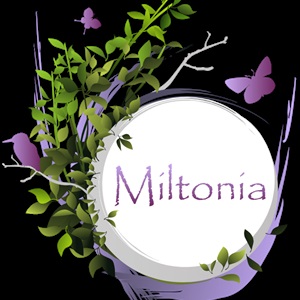 Miltonia, un fleuriste à Chartres