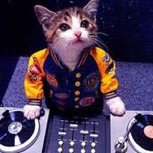 seventiesmusic, un dj de mariage à Nîmes
