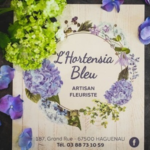 Cynthia, un créateur floral à Haguenau