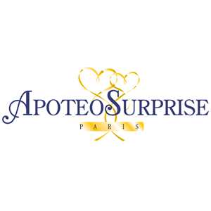 ApoteoSurprise, un décorateur spécialisé en mariage à Paris