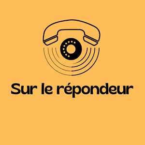 Sur le répondeur - Northpeaks, un loueur de matériel sono à Pontault-Combault