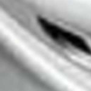 Laurent , un traiteur à Sète