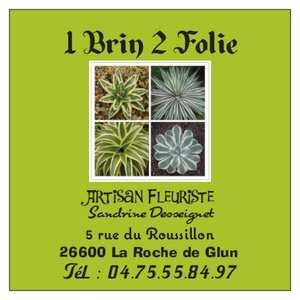 1BRIN 2 FOLIE , un fleuriste à Villefontaine