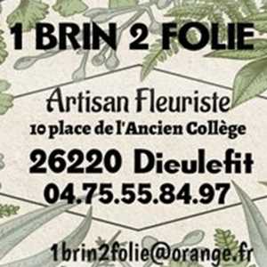 EURL 1 BRIN 2 FOLIE, un créateur floral à Grenoble