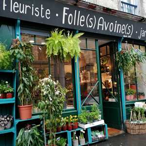 SARL Folles Avoines, un créateur floral à Bordeaux