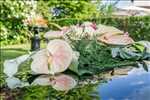 Photo Photographe mariage n°128 zone Moselle par Thierry NADE Photo