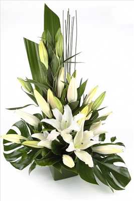 Photo fleuriste n°1463 dans le département 74 par Dominique
