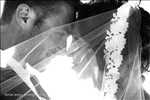 Exemple Photographe mariage n°165 zone Calvados par alexandre