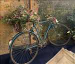 Photo fleuriste n°2043 dans le département 1 par Elise 