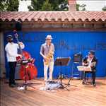 Photo Orchestre n°2183 dans le département 66 par Lutz