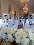 Photo fleuriste n°2268 zone Haute-Garonne par Yami