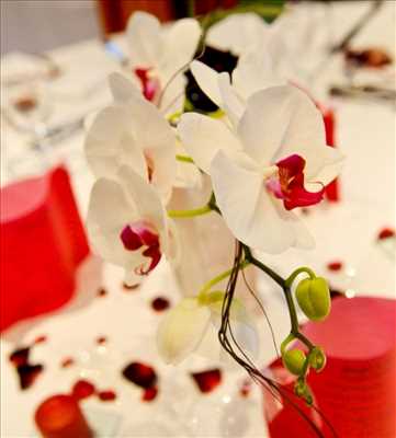 Exemple Décoration de mariage n°2305 zone Gironde par FLORENCE