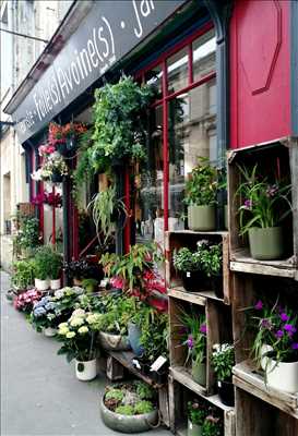 Photo fleuriste n°2872 zone Gironde par FollesAvoines