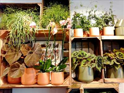 Exemple fleuriste n°2873 zone Gironde par FollesAvoines