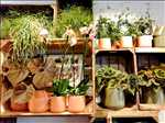 Exemple fleuriste n°2873 zone Gironde par FollesAvoines