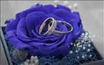 Photo photographe mariage n°3252 zone Nord par Mes Films Et Cetera