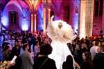 Photo animateur n°3556 zone Paris par Souad
