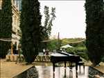 Exemple musicien n°3577 zone Gironde par Raphael