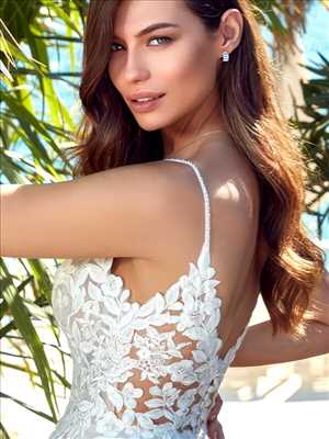Photo vendeur de robe de mariée n°3602 à Tourcoing par Vince