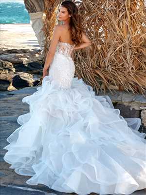 Photo vendeur de robe de mariée n°3604 zone Paris par Vince