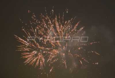 animateur avec PYROPRO dans la région Grand Est