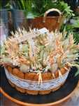 Photo fleuriste n°3846 à Bouguenais par L'île aux fleurs