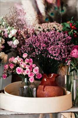 Photo fleuriste n°558 à Colomiers par Maria-Grazia 