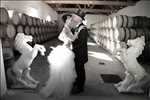 Exemple Photographe mariage n°825 zone Marne par Thierrymovie-prod