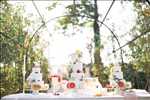 Exemple Photographe mariage n°921 zone Loire-Atlantique par Marie